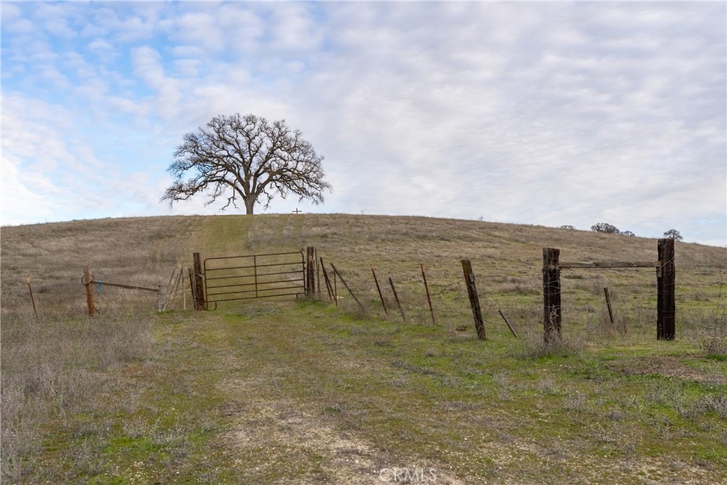 2450 Golden Hill Road Paso Robles, CA 93446 - Photo 8 of 24