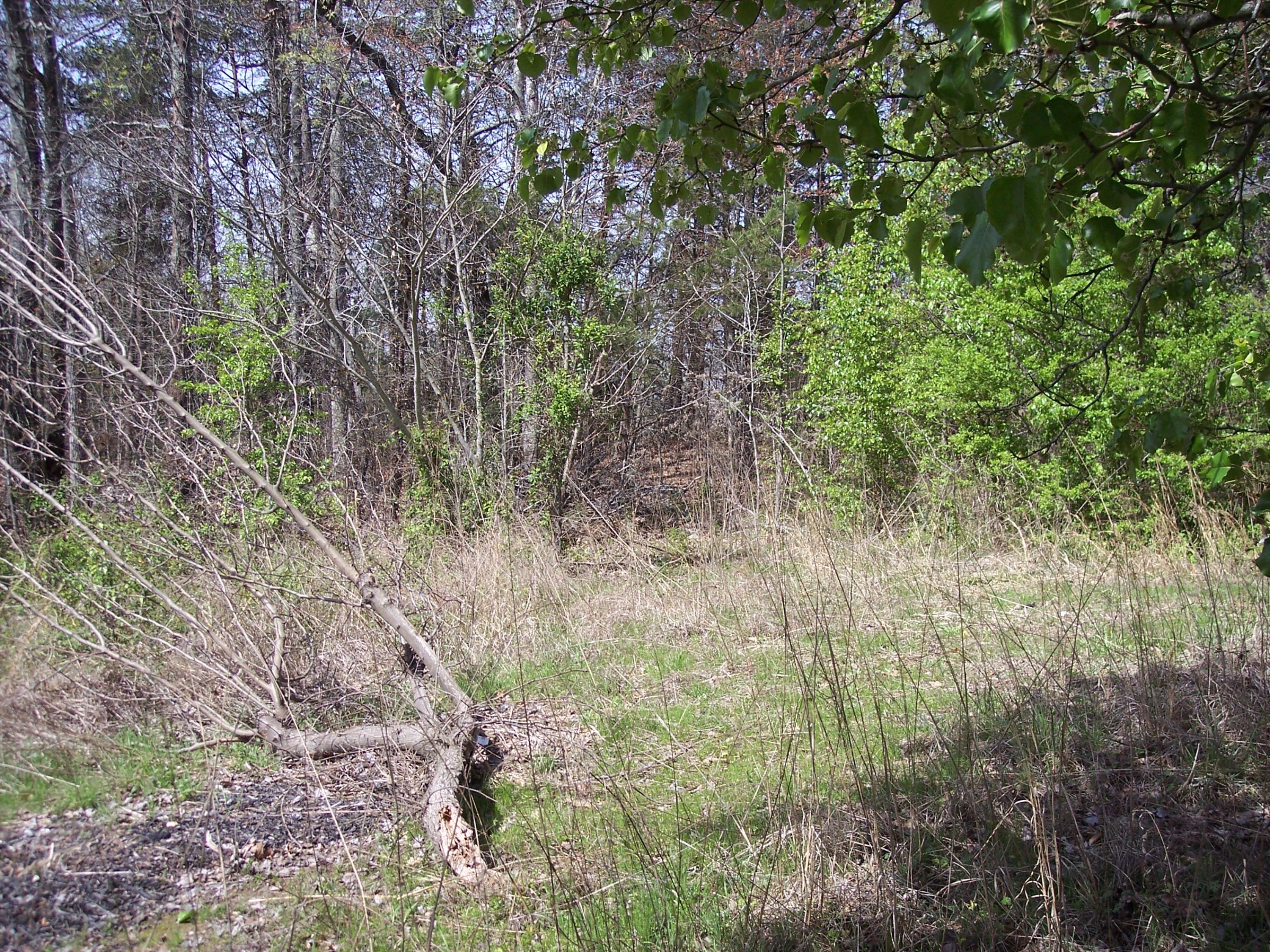Mariners Point Kingston, TN 37763 - Photo 7 of 8 100_4430