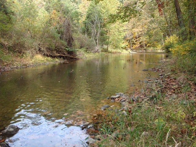375 Big Red Road Ronceverte, WV 24970 - Photo 8 of 32 Second Creek