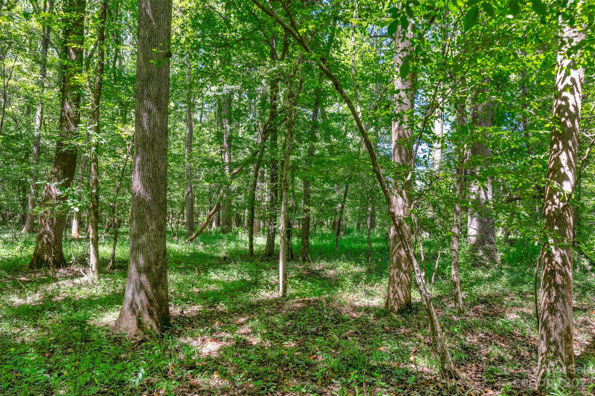 0 Hopewell Church Road, Unit 3 Blackstock, SC 29014 - Photo 8 of 44 Gallery Image 8