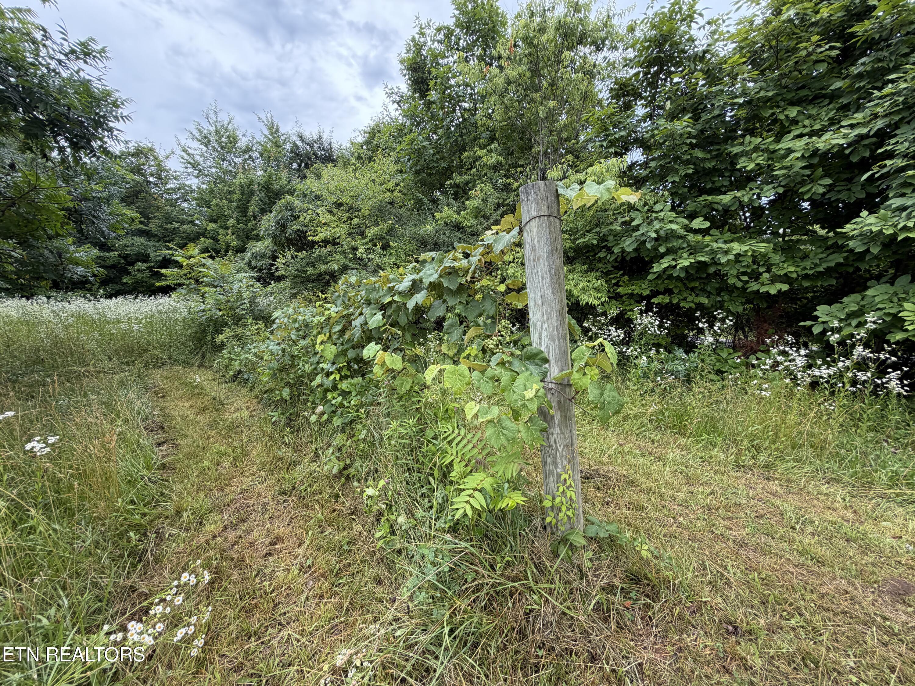 64 Coppett Road Crossville, TN 38572 - Photo 34 of 37 IMG_20260619_121211