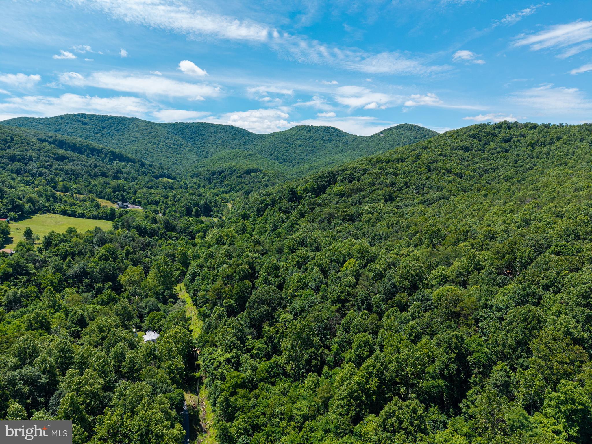 0 Dovel Hollow Road Stanley, VA 22851 - Photo 16 of 22