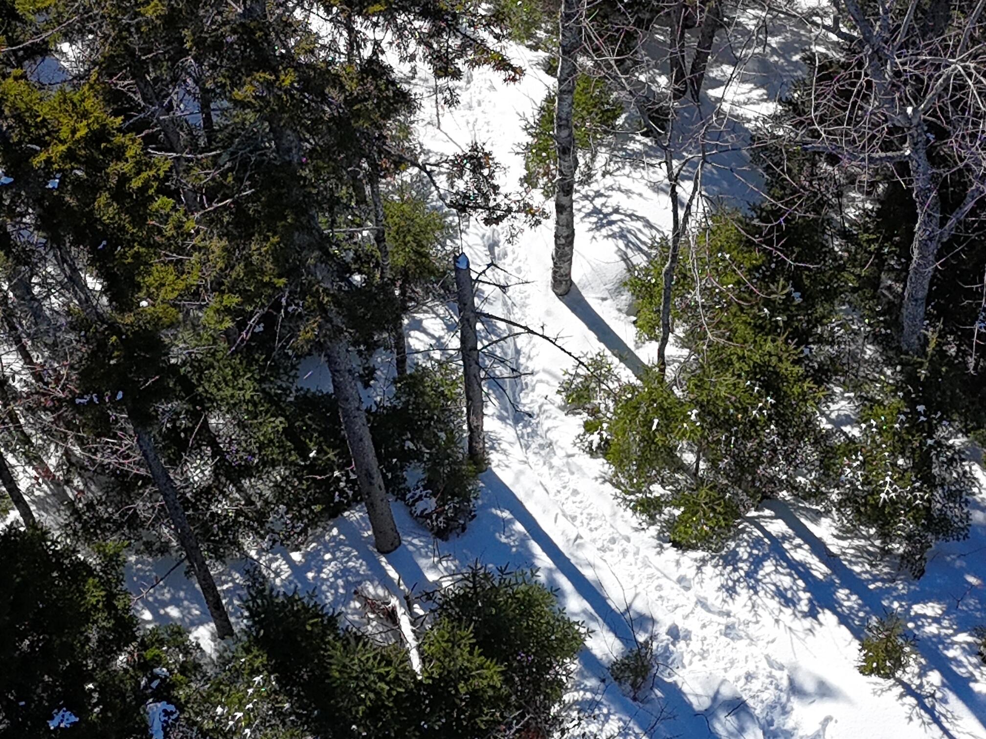 2020-2022 Pond Road Carrabassett Valley, ME 04947 - Photo 11 of 17 dji_fly_20260215_130324_0437_17712503074
