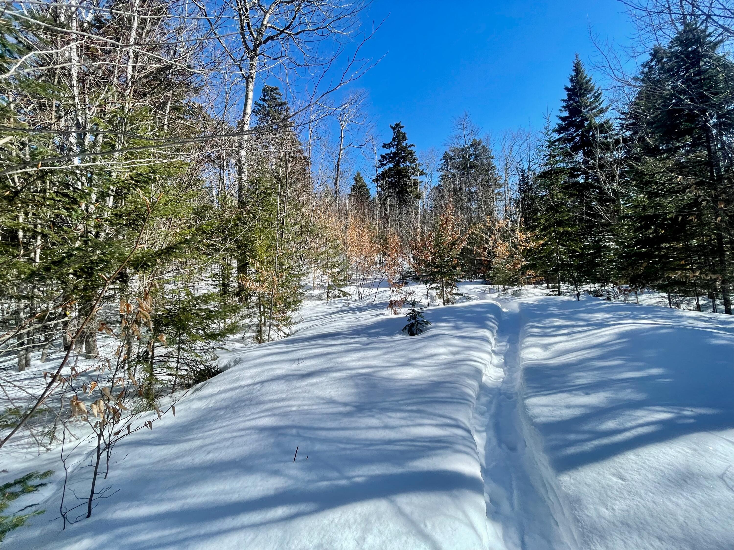 2020-2022 Pond Road Carrabassett Valley, ME 04947 - Photo 3 of 17 IMG_4198