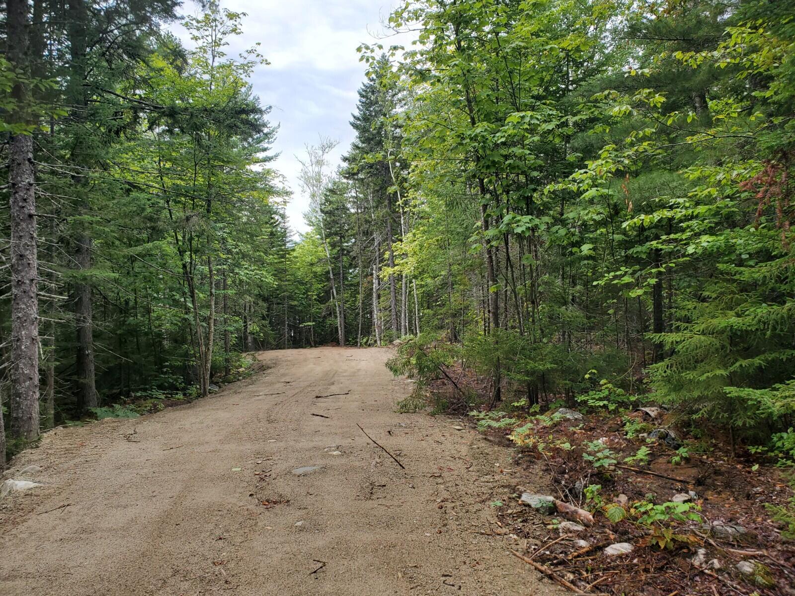14 Birch Point Road Cooper, ME 04657 - Photo 9 of 10 20200821_125743