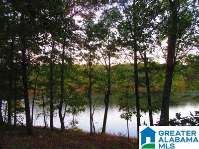 9 Smiley Lane, Unit 9 Wedowee, AL 36278 - Photo 1 of 4