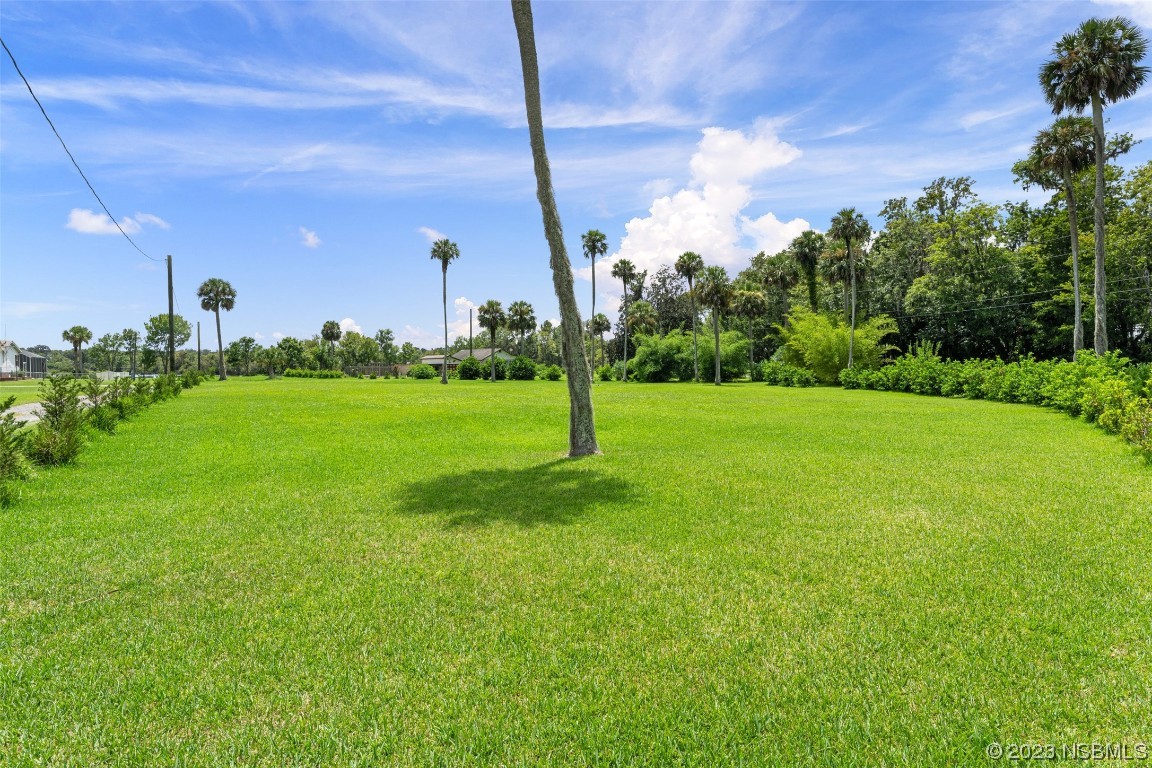 2422 South Taylor Road New Smyrna Beach, FL 32168 - Photo 18 of 19 a backyard of a house with lots of green space