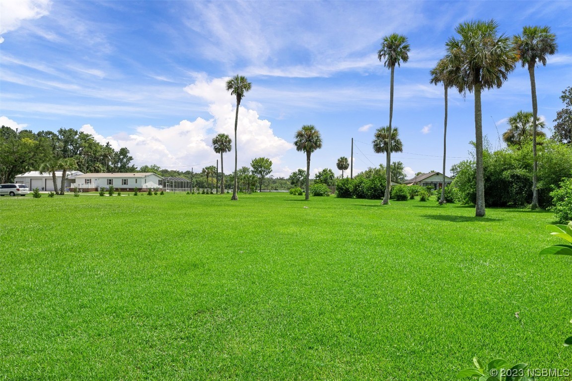 2422 South Taylor Road New Smyrna Beach, FL 32168 - Photo 19 of 19 a group of people standing on a lush green field