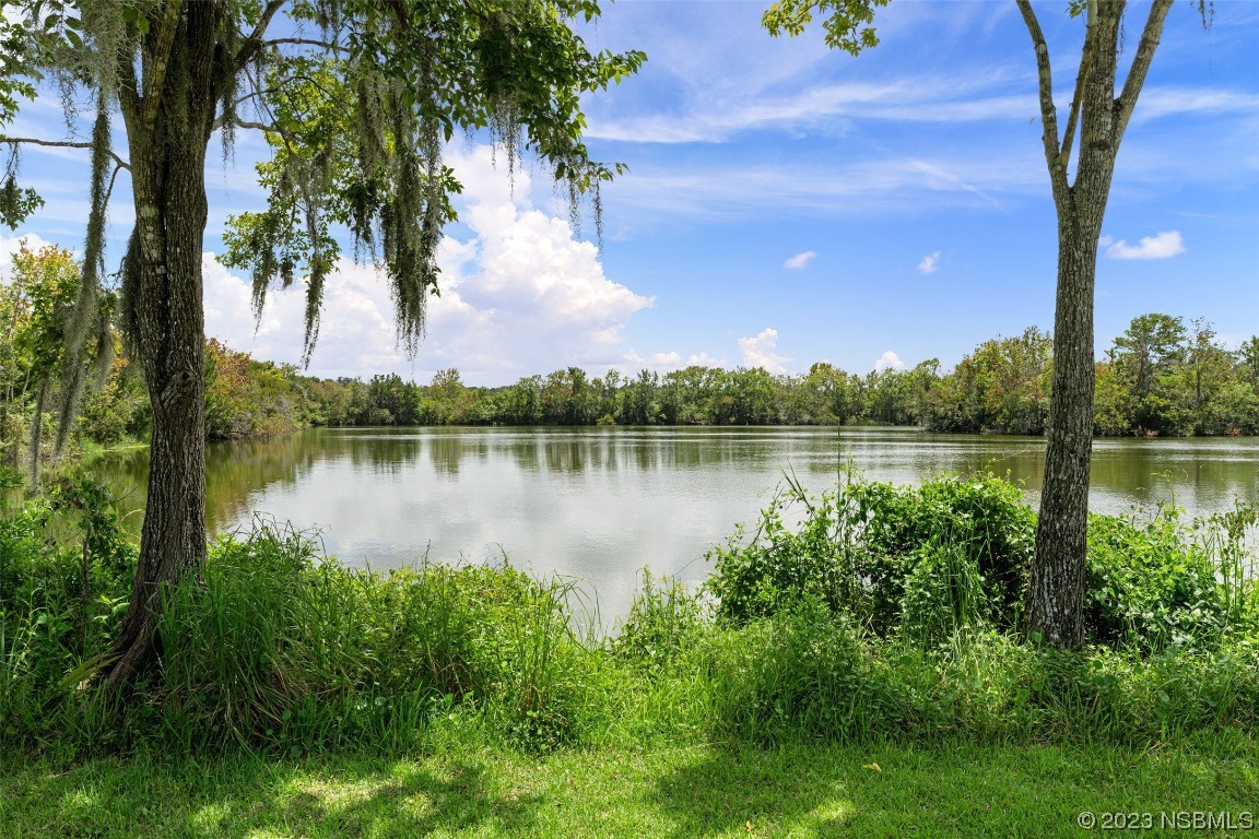 2422 South Taylor Road New Smyrna Beach, FL 32168 - Photo 9 of 19 a view of a lake with houses in the back