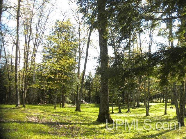 Tbd Clement Road Saxon, WI 54559 - Photo 2 of 34