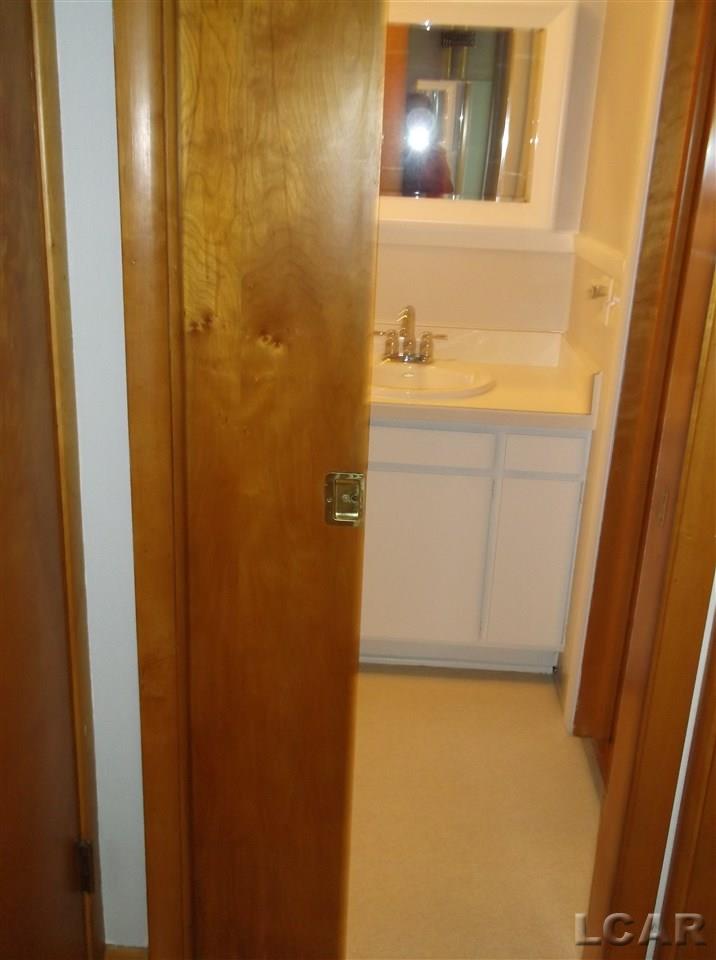 320 East Maple Avenue Adrian, MI 49221 - Photo 9 of 32 31379860-10.JPG