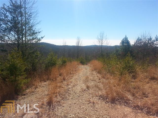 0 Cunningham Mountain Road Ellijay, GA 30536 - Photo 1 of 1 Gallery Image 1