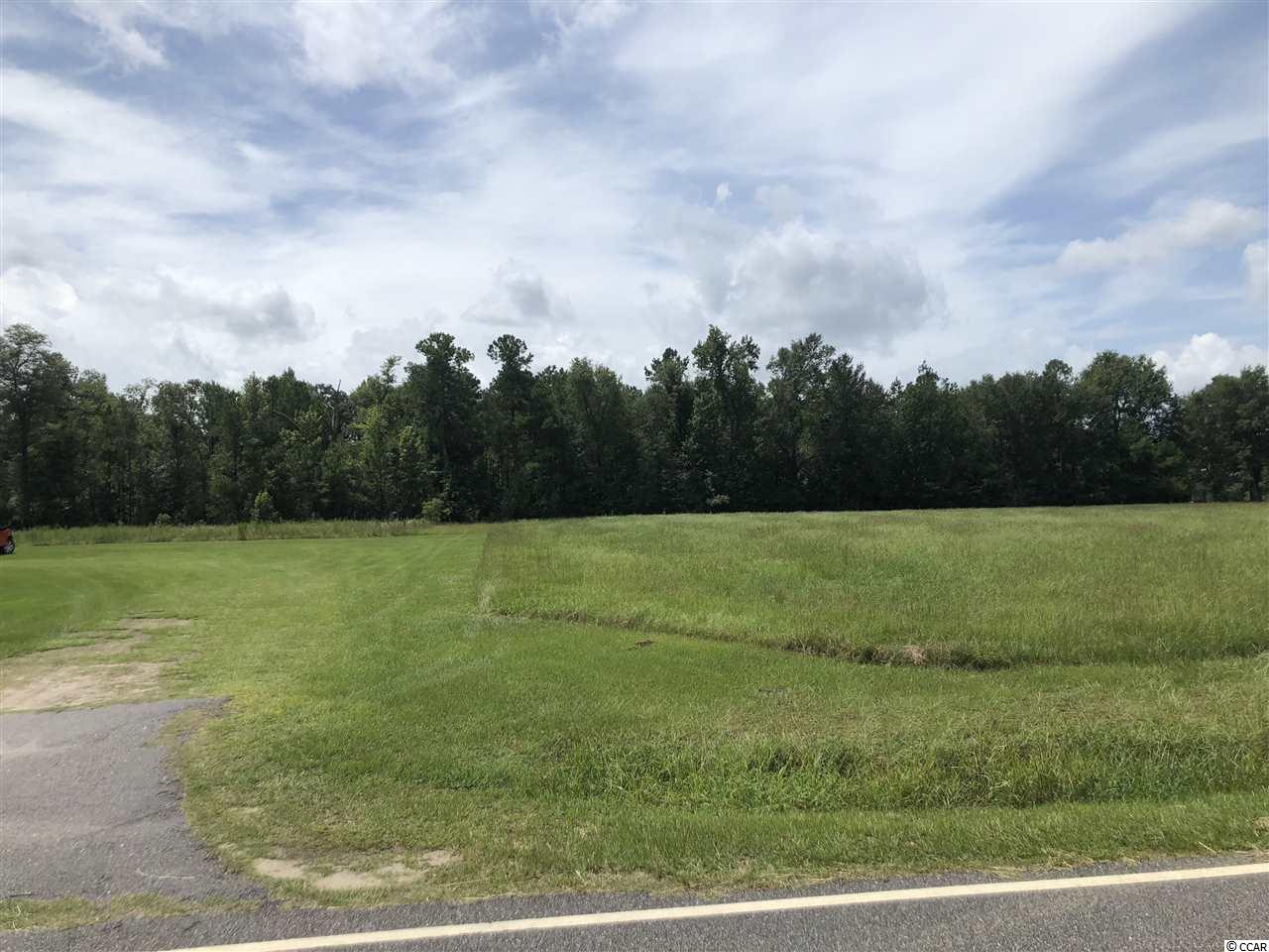 0 Pearl Road Galivants Ferry, SC 29544 - Photo 1 of 1 Gallery Image 1