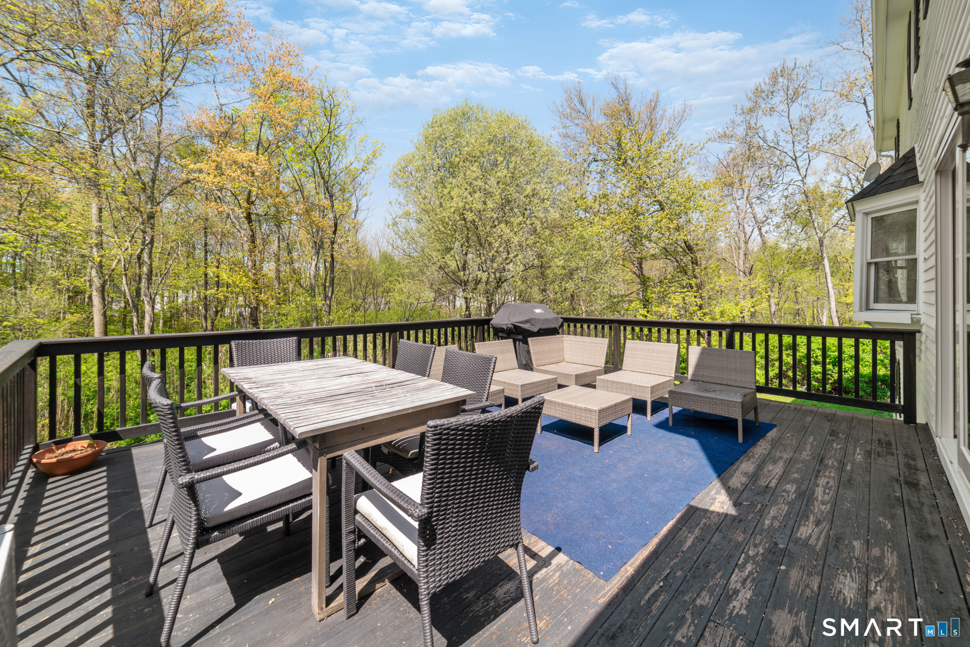 225 Bethmour Road Bethany, CT 06524 - Photo 31 of 39