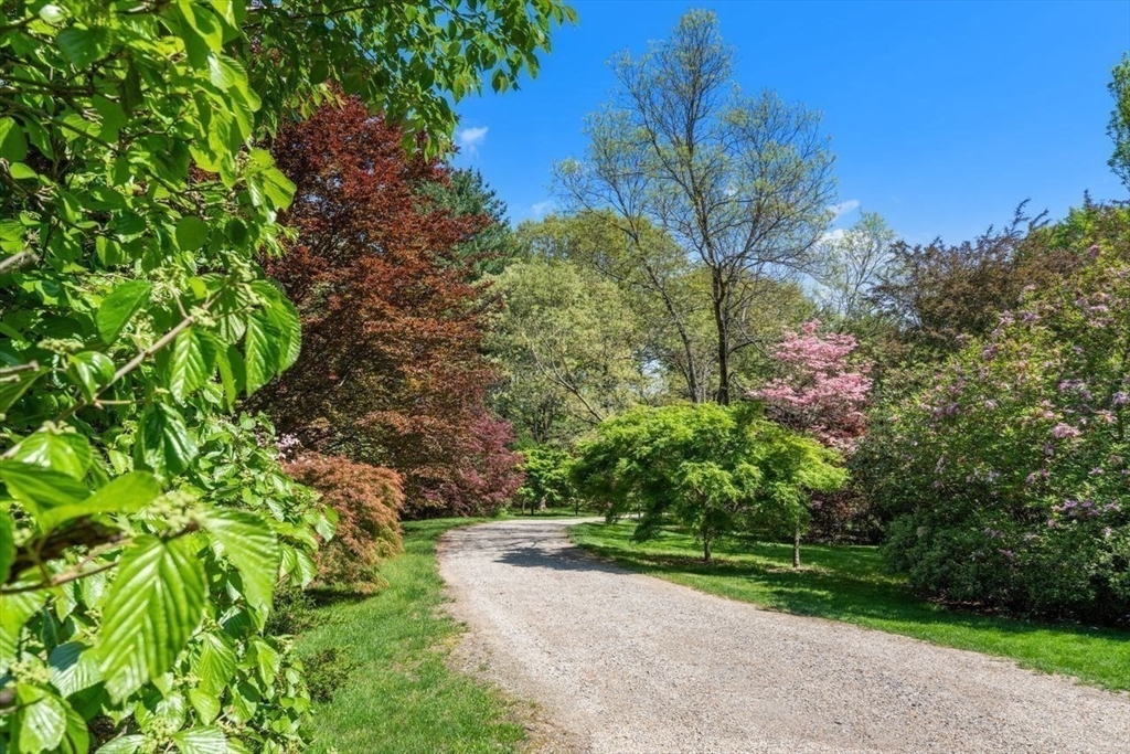 475 Glen Road Weston, MA 02493 - Photo 5 of 10