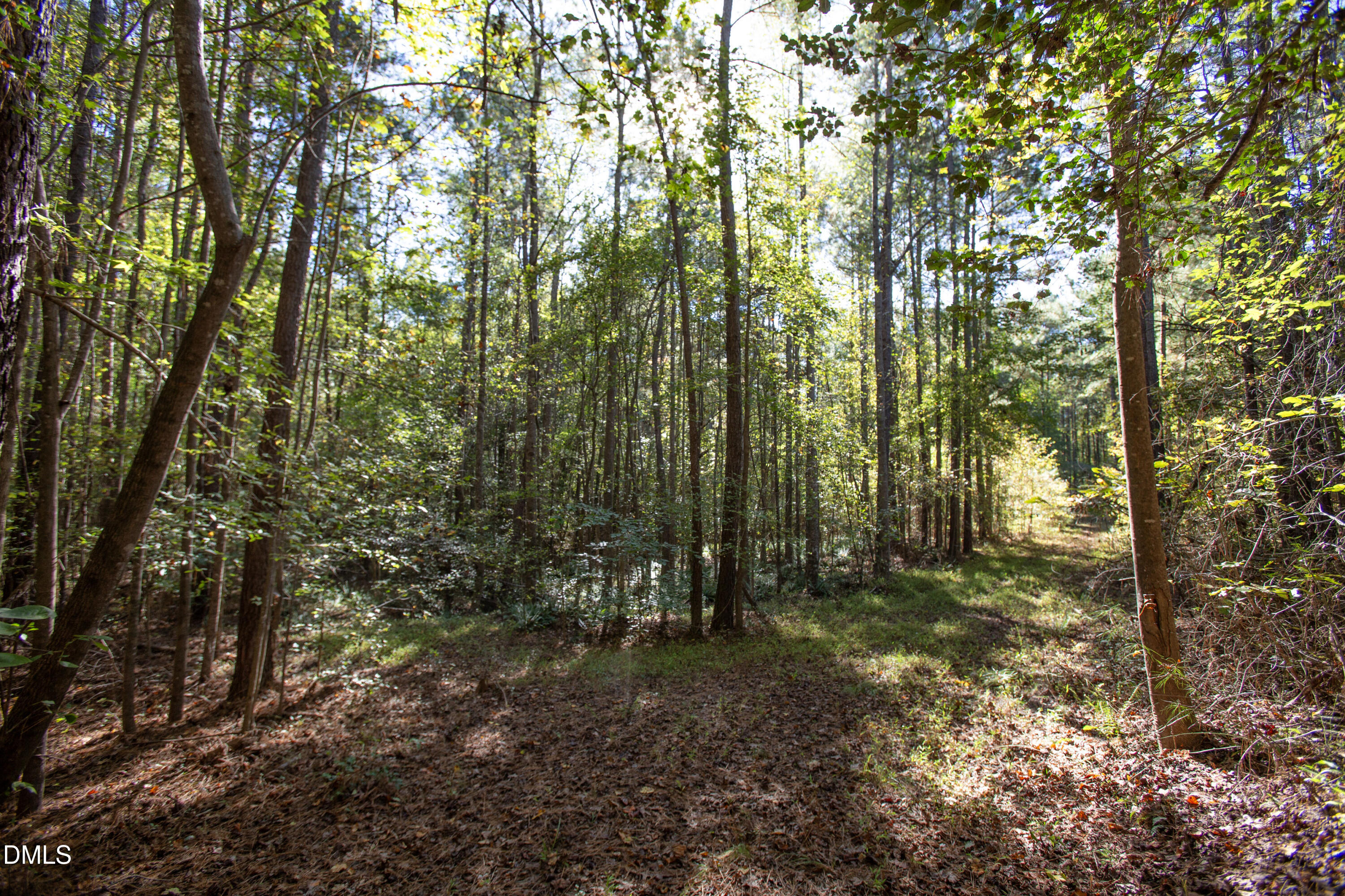 251 Red Wells Road Spring Hope, NC 27882 - Photo 14 of 18 Redwells Road 14