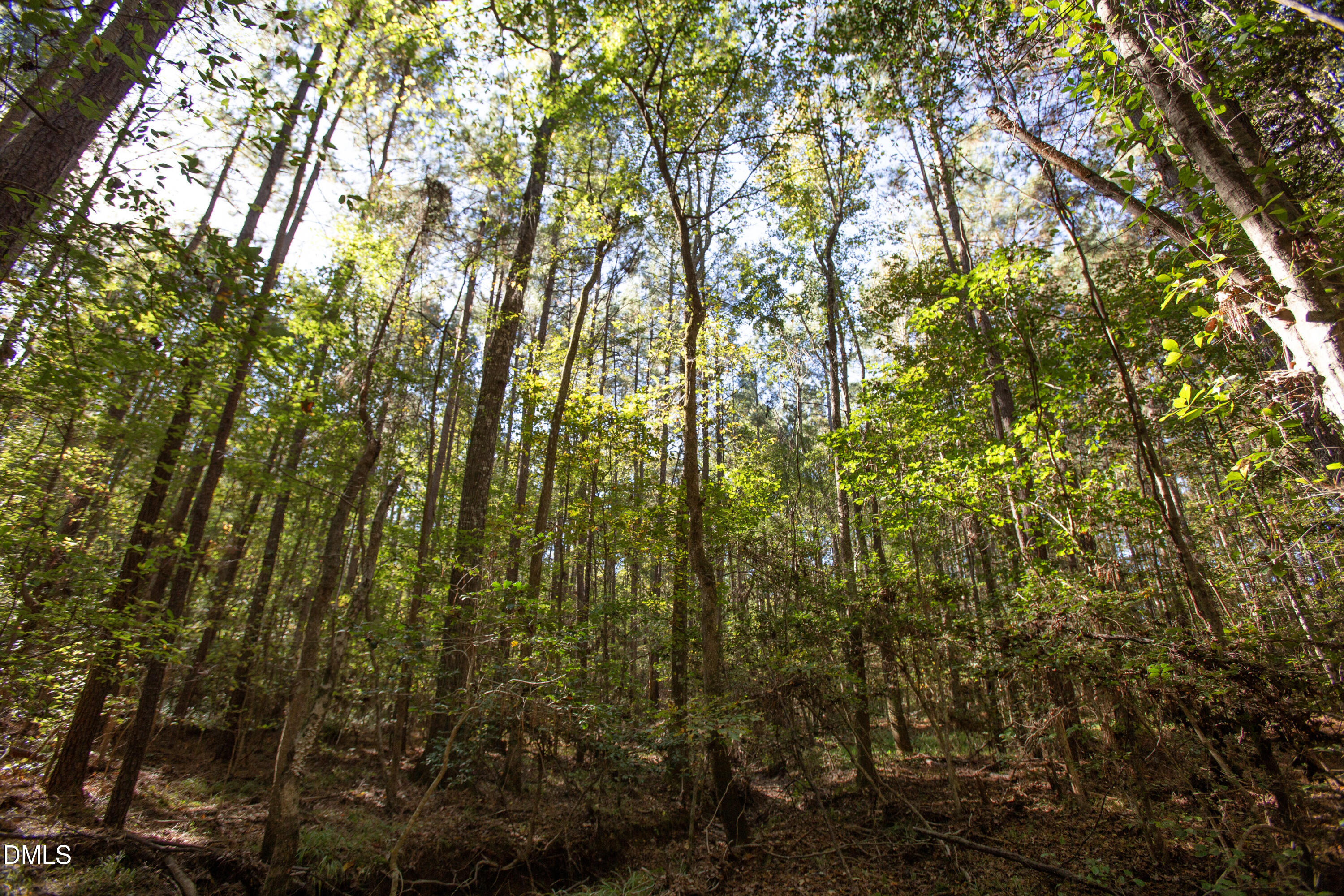 251 Red Wells Road Spring Hope, NC 27882 - Photo 16 of 18 Redwells Road 12