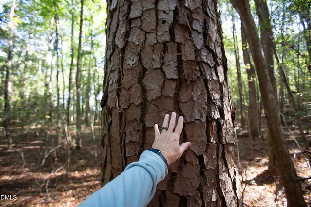 $475,000 | 251 Red Wells Road, Spring Hope, NC 27882