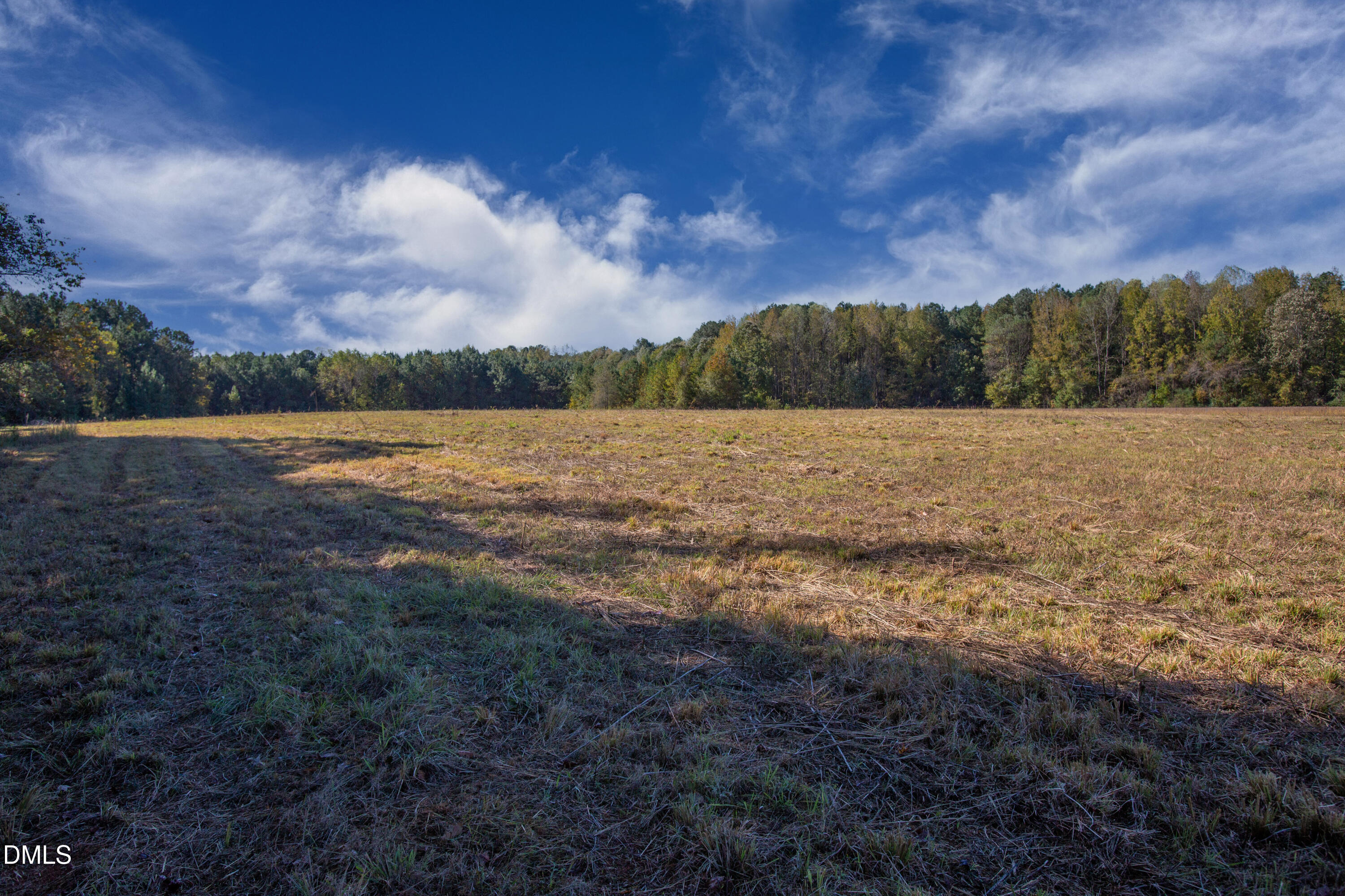 251 Red Wells Road Spring Hope, NC 27882 - Photo 3 of 18 Redwells Road 9