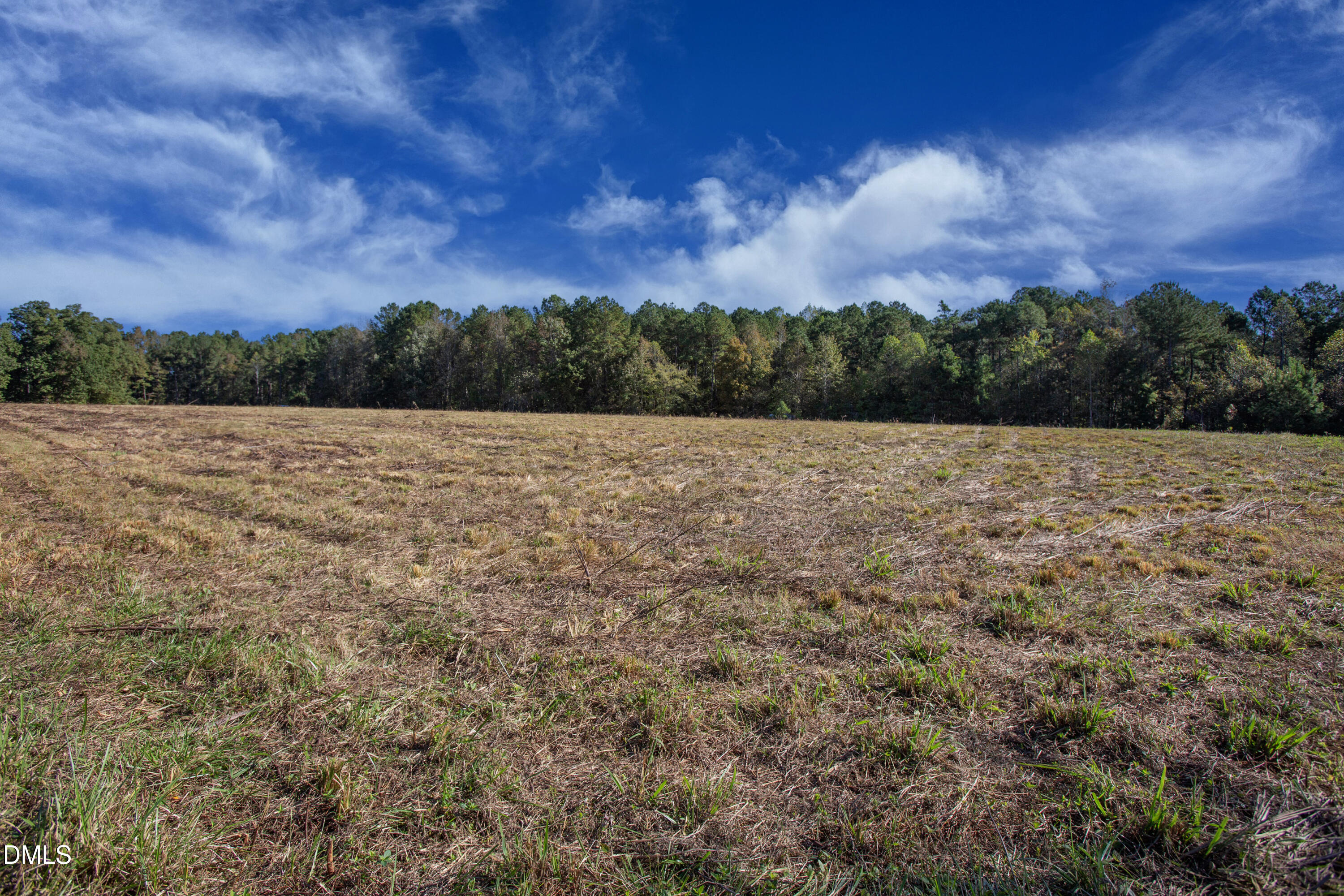 251 Red Wells Road Spring Hope, NC 27882 - Photo 5 of 18 Redwells Road 7