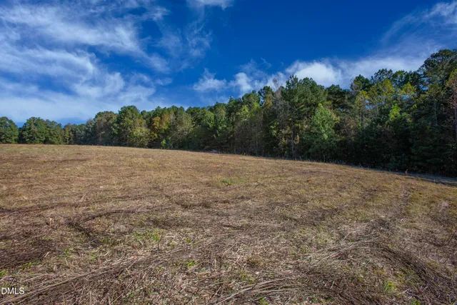 a view of backyard with green space