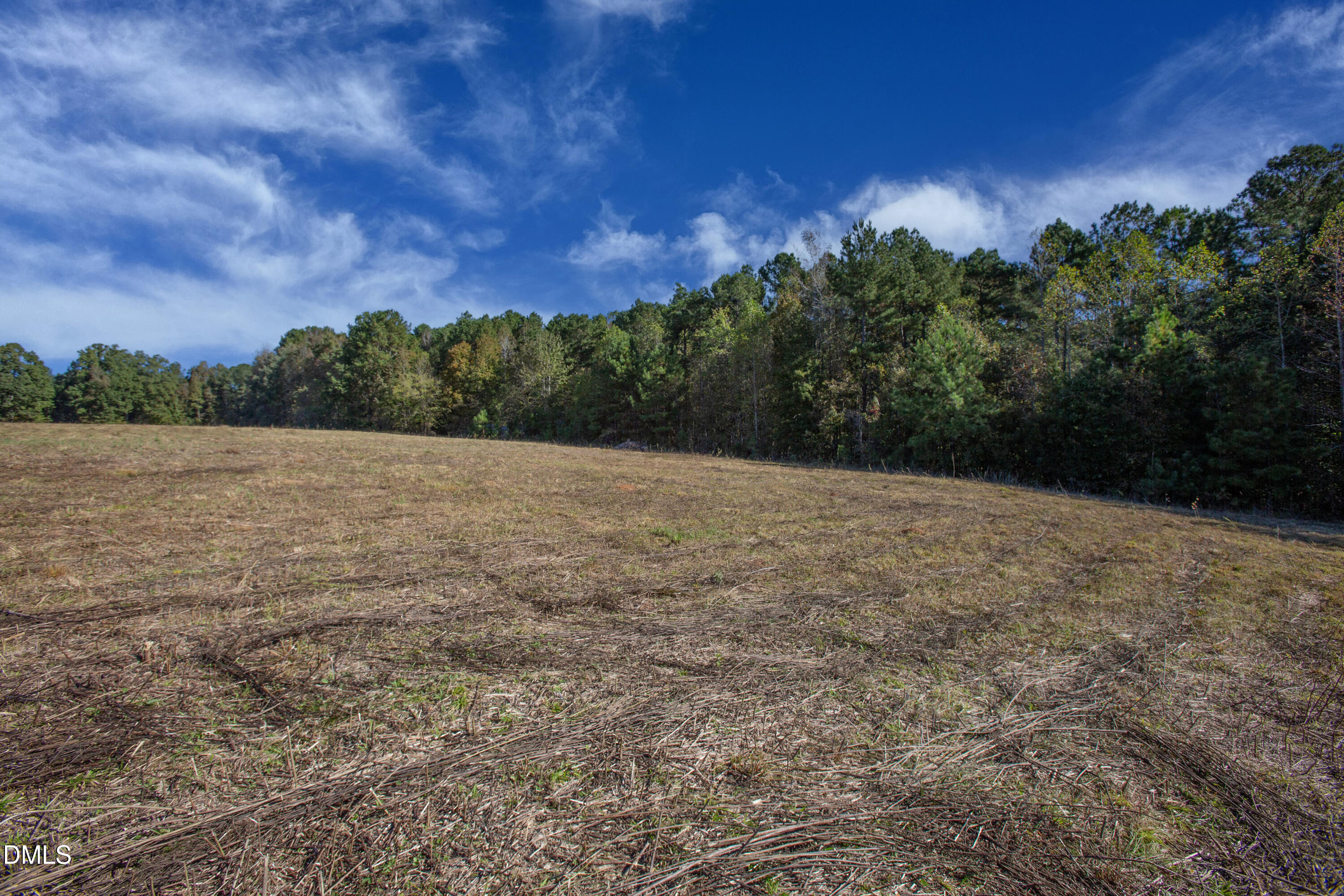251 Red Wells Road Spring Hope, NC 27882 - Photo 7 of 18 Redwells Road 5