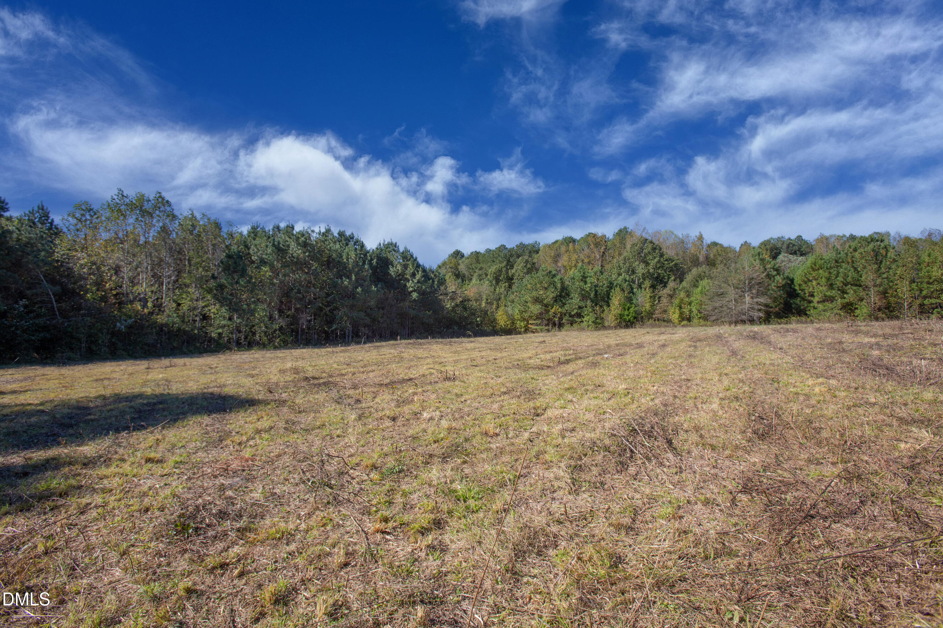 251 Red Wells Road Spring Hope, NC 27882 - Photo 8 of 18 Redwells Road 4