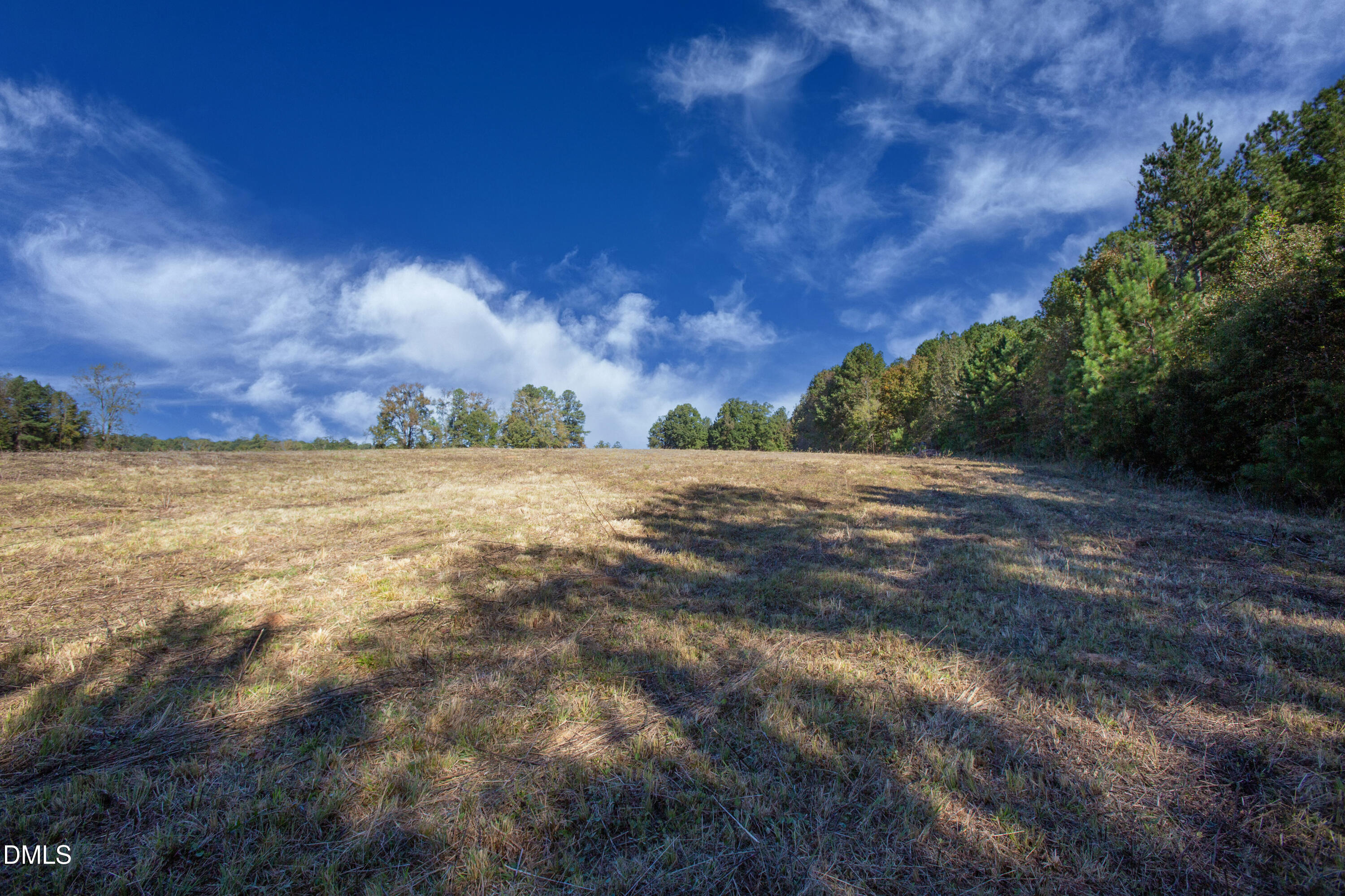 251 Red Wells Road Spring Hope, NC 27882 - Photo 9 of 18 Redwells Road 3