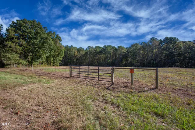 a view of a field with trees in the background