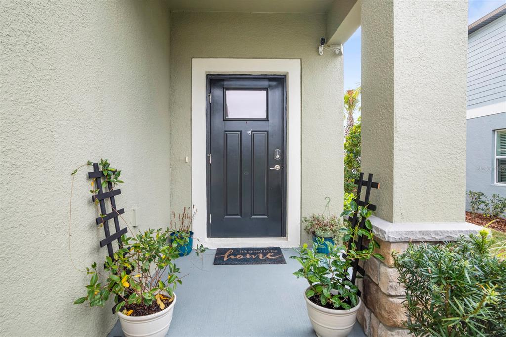 36498 Camp Fire Terrace Zephyrhills, FL 33541 - Photo 4 of 38 a potted plant sitting in front of a house