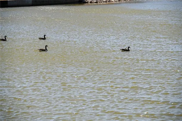 $1,500,000 | 304 Reavley Drive, Lamar, MO 64759