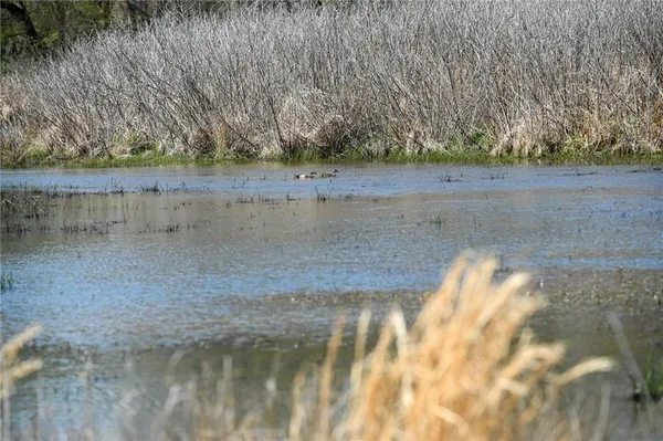 $1,500,000 | 304 Reavley Drive, Lamar, MO 64759