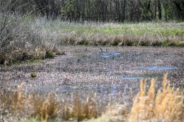 $1,500,000 | 304 Reavley Drive, Lamar, MO 64759