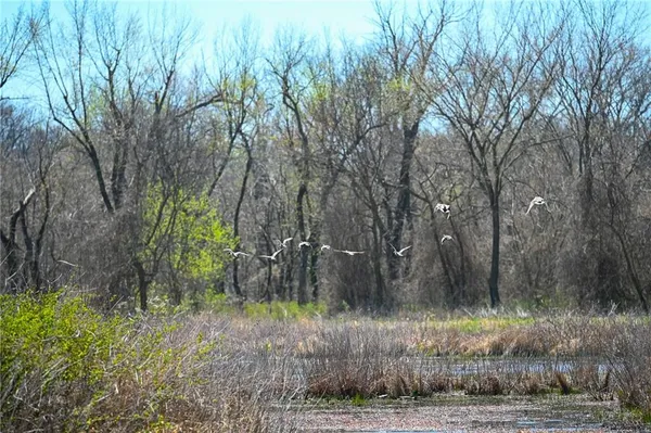 $1,500,000 | 304 Reavley Drive, Lamar, MO 64759