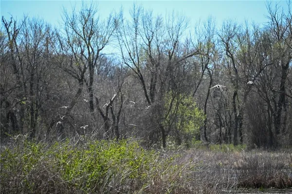 $1,500,000 | 304 Reavley Drive, Lamar, MO 64759