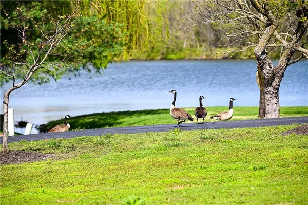 $1,500,000 | 304 Reavley Drive, Lamar, MO 64759