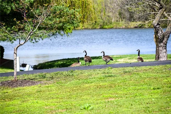 $1,500,000 | 304 Reavley Drive, Lamar, MO 64759