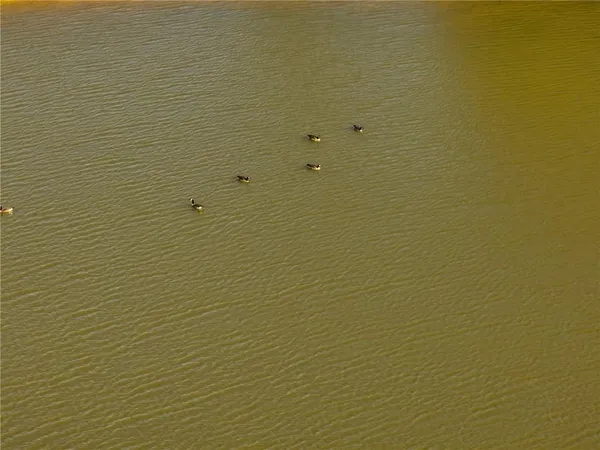 $1,500,000 | 304 Reavley Drive, Lamar, MO 64759