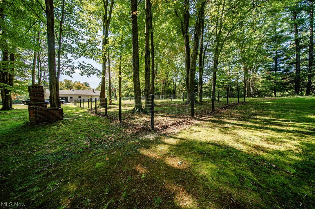 34505 Cannon Road Solon, OH 44139 - Photo 29 of 34 View of yard