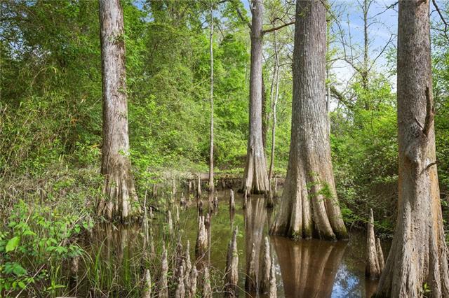47442 River Road Hammond, LA 70401 - Photo 58 of 60