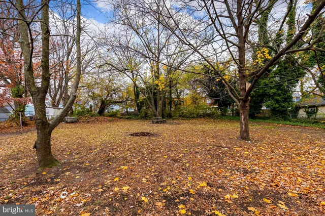 a view of outdoor space with trees