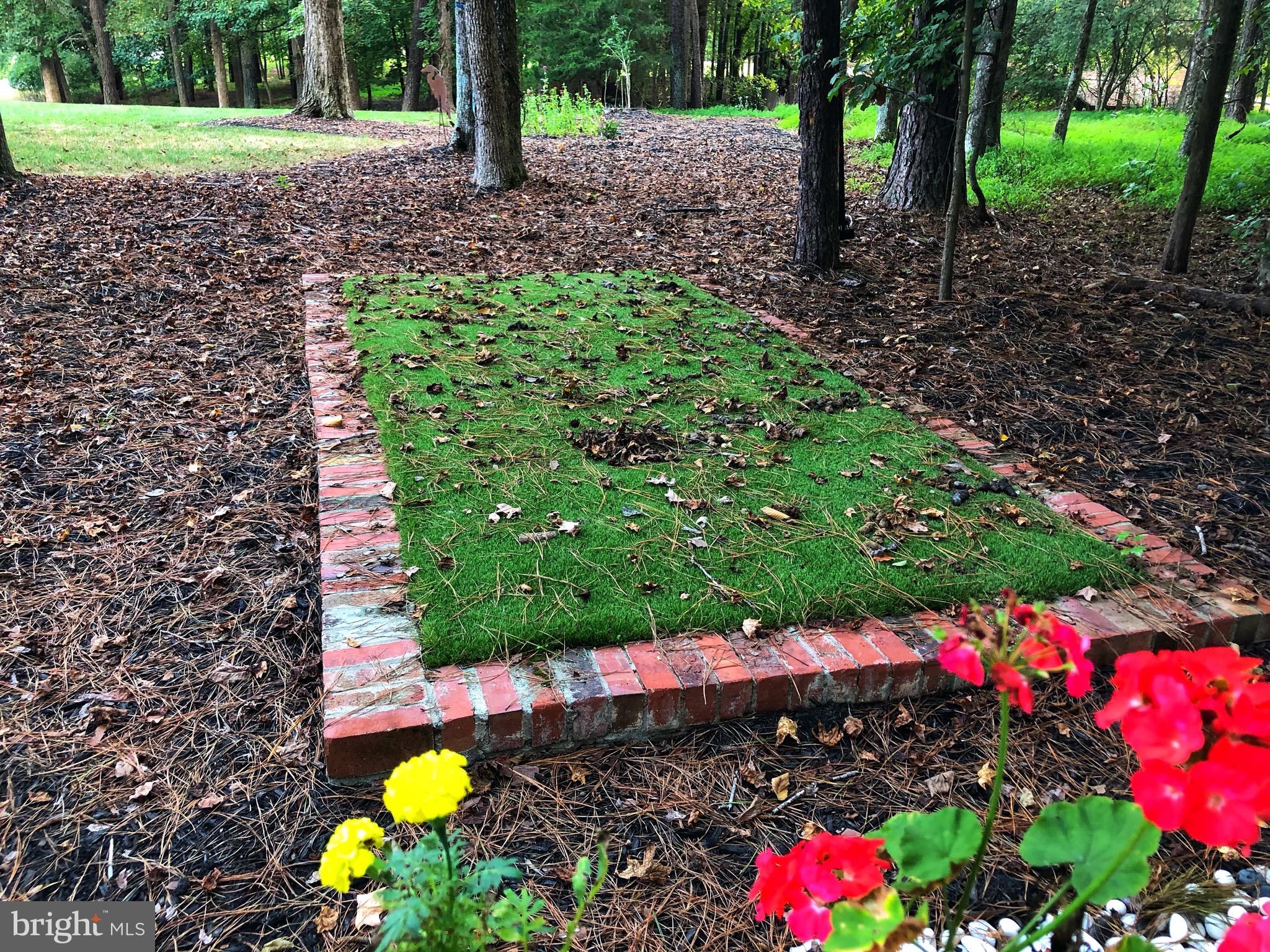 5110 Hurop Road Sandston, VA 23150 - Photo 73 of 96 Doggie does do-do here - outdoor pet pad