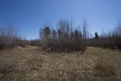 Xxx East Beauregard Lake Road Gordon, WI 54838 - Photo 25 of 35