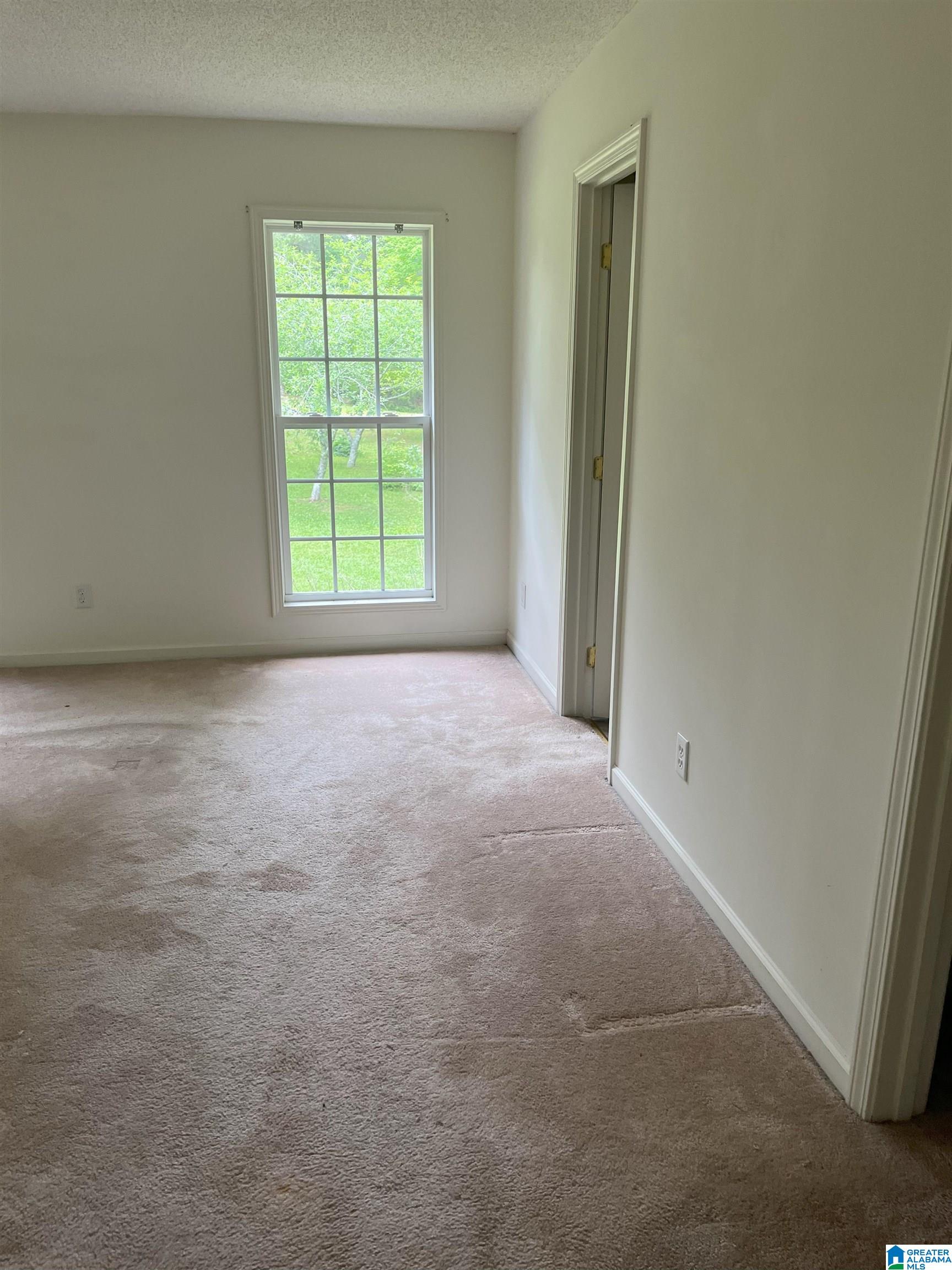 252 Timber Trail Ashville, AL 35953 - Photo 12 of 18