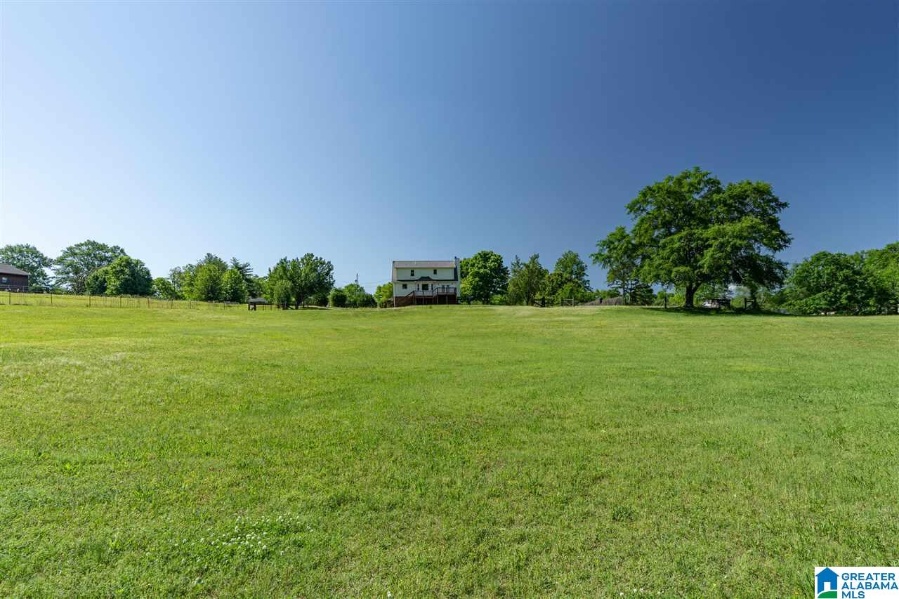 4523 Greathouse Road Dora, AL 35062 - Photo 32 of 50