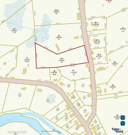 a picture of a very nice looking yard