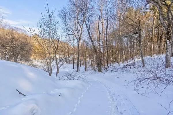 a view of covered with snow in back