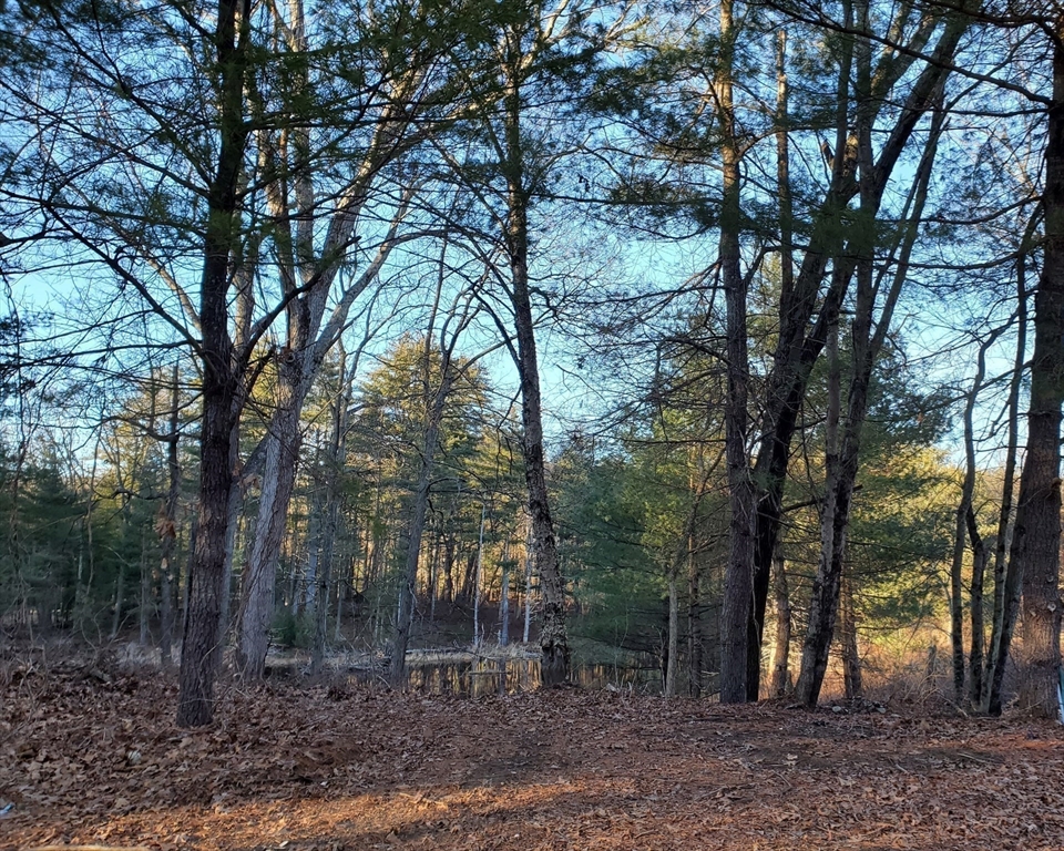 70 Summer Street Thorndike, MA 01079 - Photo 5 of 8 a view of forest
