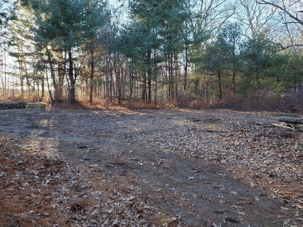 70 Summer Street Thorndike, MA 01079 - Photo 6 of 8 a view of a yard with trees