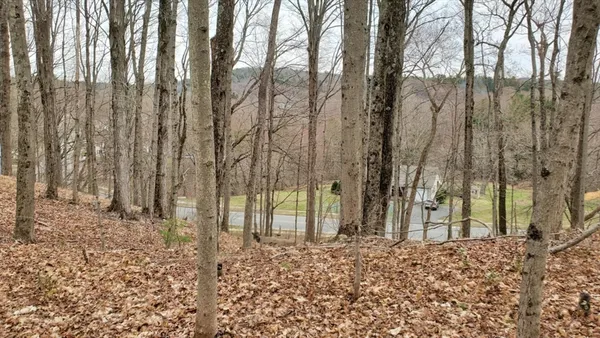 a view of small yard